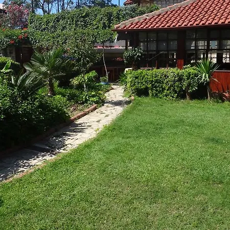 Hotel Lale Park